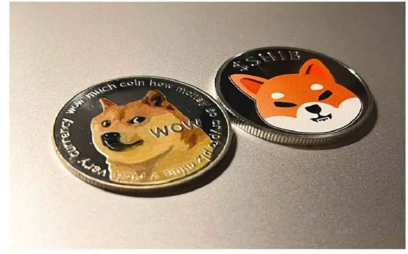 Dogecoin - Should You Buy Some This 2022? 