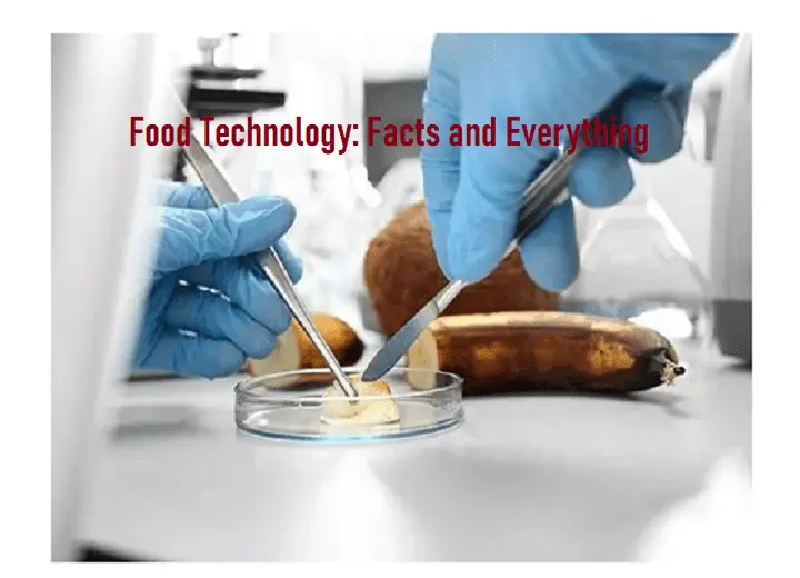 Food Technology: Facts and Everything